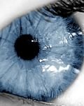 pic for iris blue eye